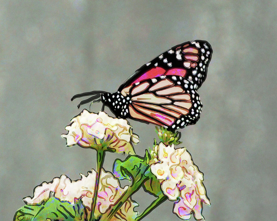 Butterfly Kisses Digital Art by Leslie Montgomery