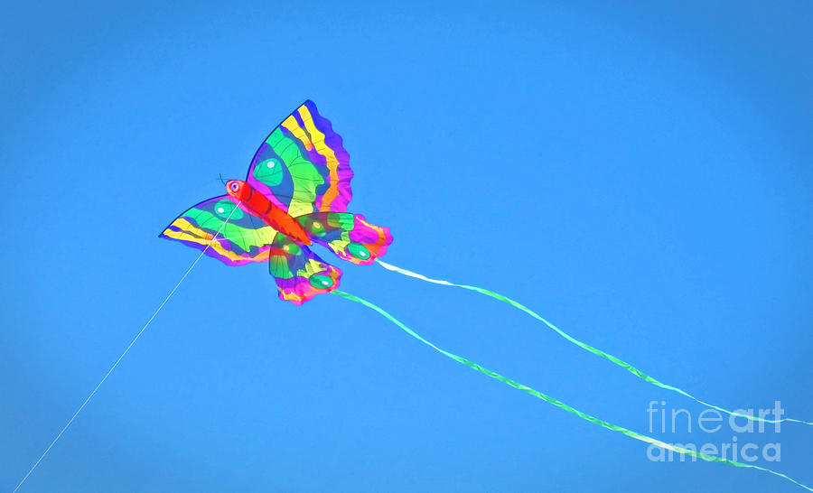 Butterfly Kite Flying High Photograph