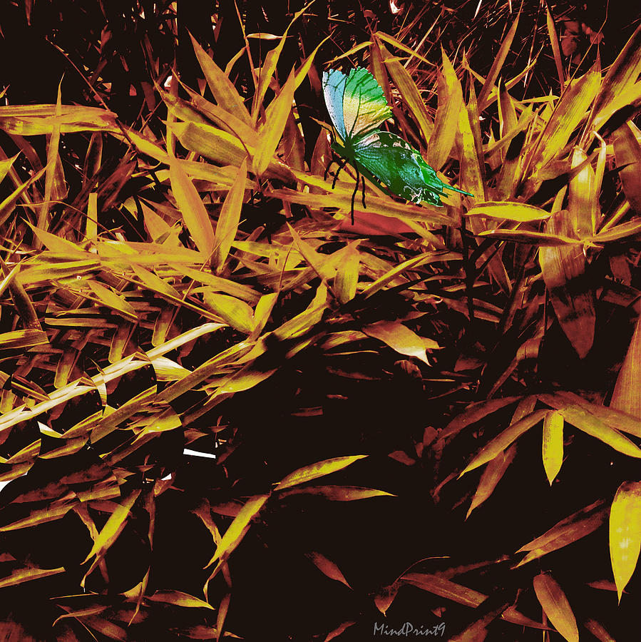 Butterfly Landscape Digital Art by Asok Mukhopadhyay