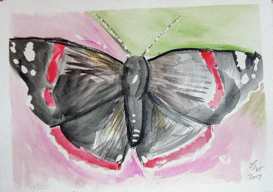 Butterfly Drawing by Loretta Nash