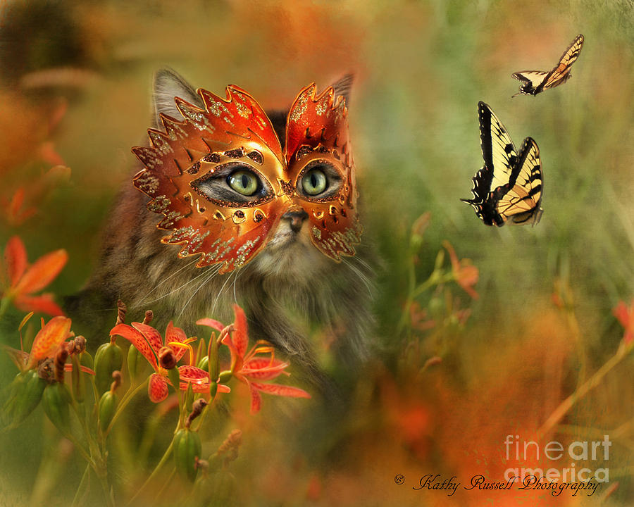 Butterfly Masquerade Photograph by Kathy Russell