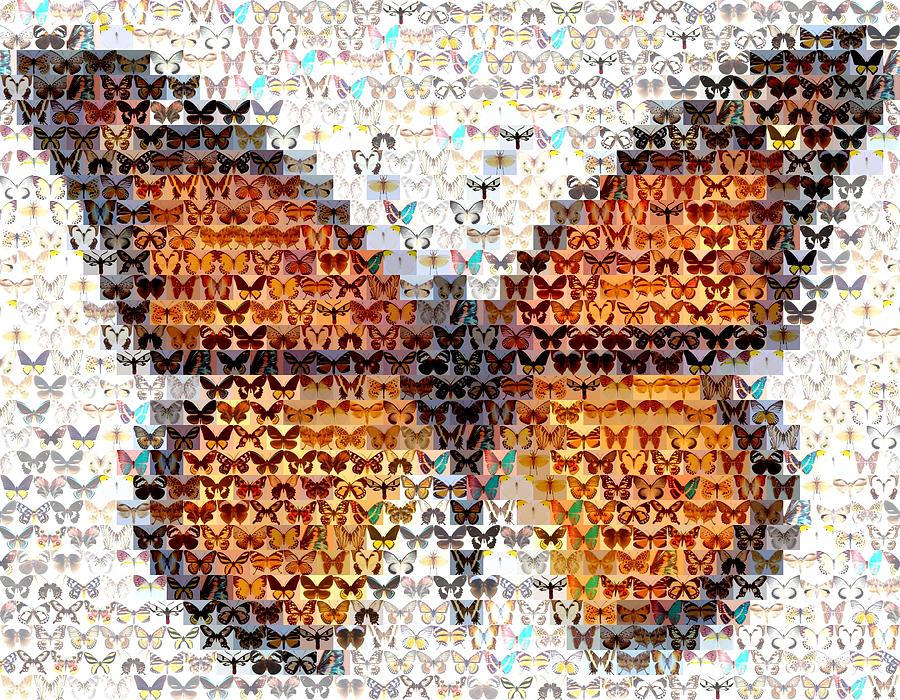 Butterfly Mosaic Mixed Media by Paul Van Scott | Fine Art America