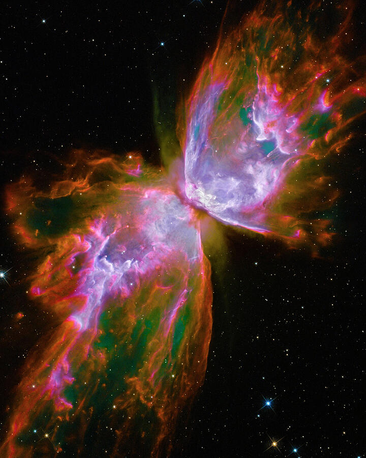 Butterfly Nebula Photograph by Paul W Faust - Impressions of Light