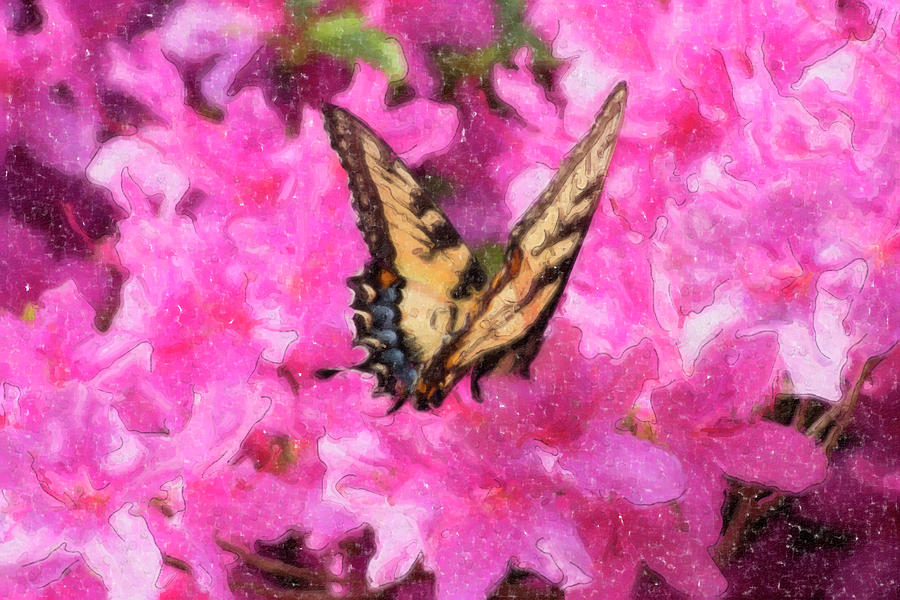 Butterfly Oil Painting Digital Art by Jill Lang