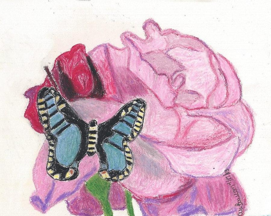 Butterfly on a Flower Drawing by Ali Baucom