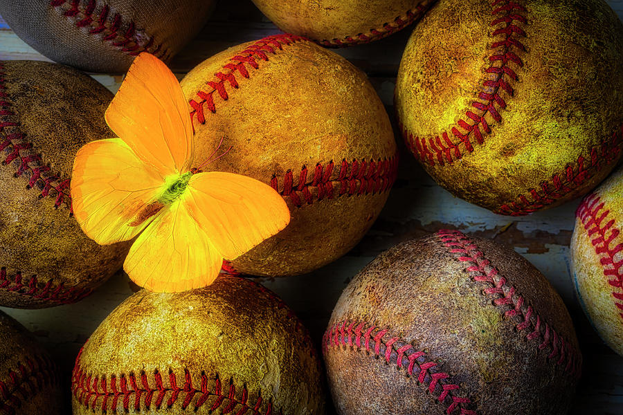 Butterfly On Baseball Photograph by Garry Gay