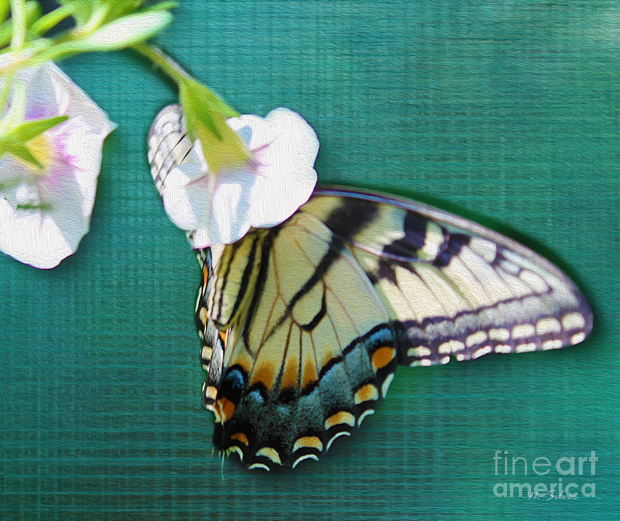 Butterfly on Digital Linen Photograph by Nina Silver