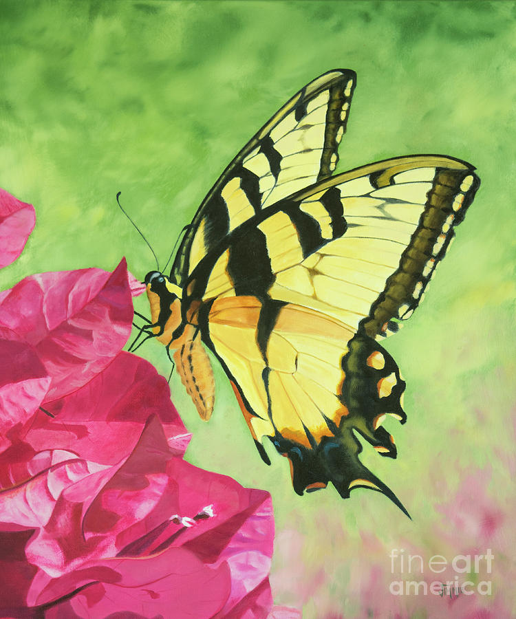 Butterfly on the Bougainvillea Painting by Jimmie Bartlett