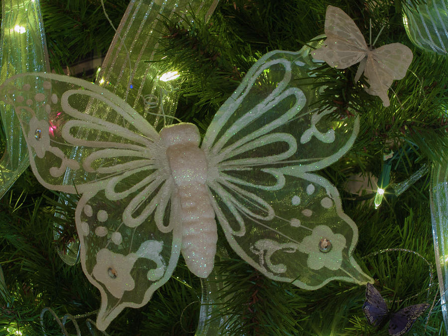 Butterfly Ornament Photograph by Stewart Helberg