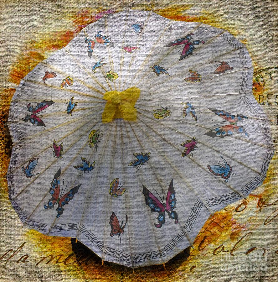 Butterfly Parasol Photograph by Lilliana Mendez