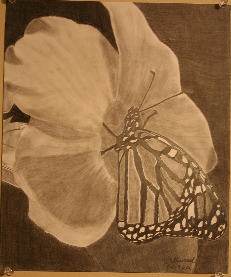 Butterfly Drawing - Butterfly Piece by Brandy LeBlue