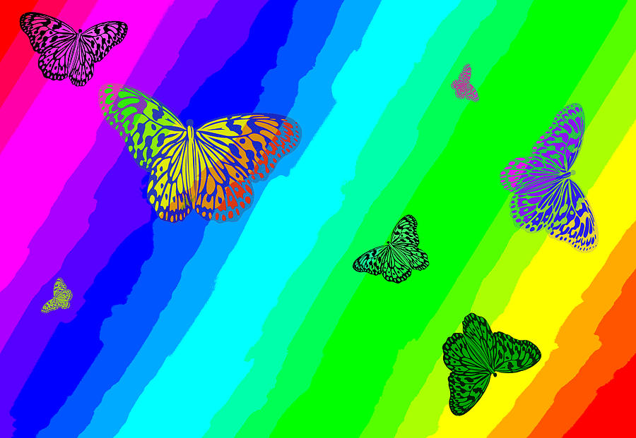 Butterfly Rainbow Photograph by Mitch Spence
