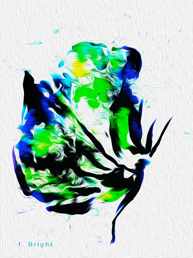 Butterfly Relief Abstract Digital Art by Frank Bright