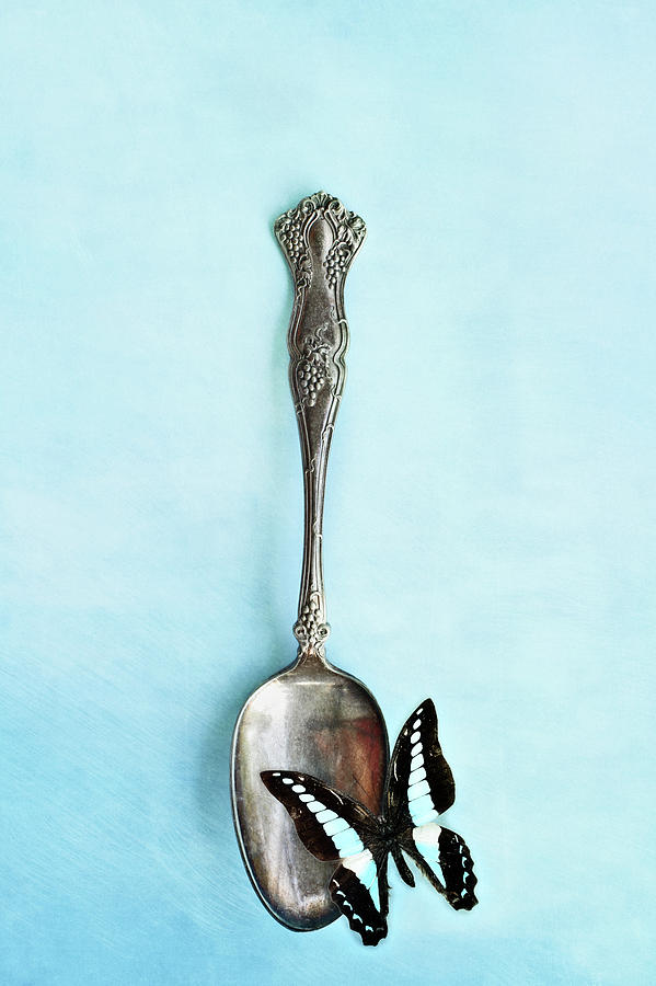 Butterfly Resting on Antique Spoon Photograph by Stephanie Frey