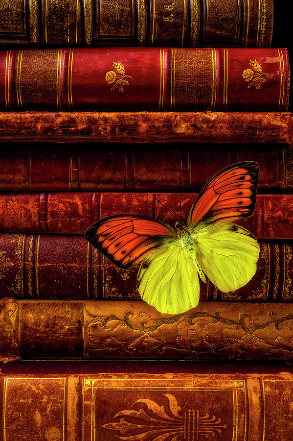 Butterfly resting On Books Photograph by Garry Gay