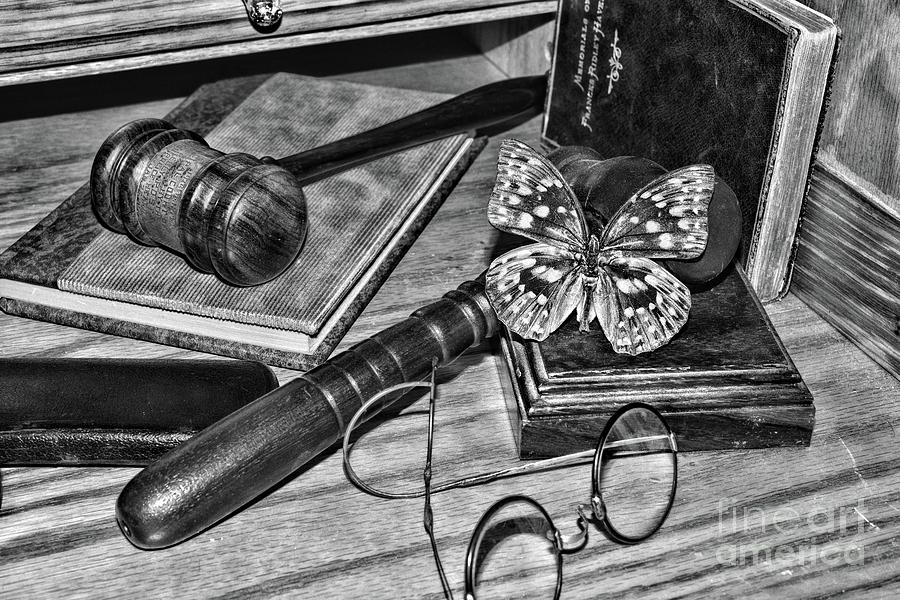 Butterfly Photograph - Butterfly resting on Judges Gavel black and white by Paul Ward