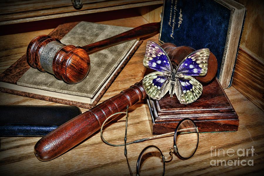 Butterfly Photograph - Butterfly resting on Judges Gavel  by Paul Ward