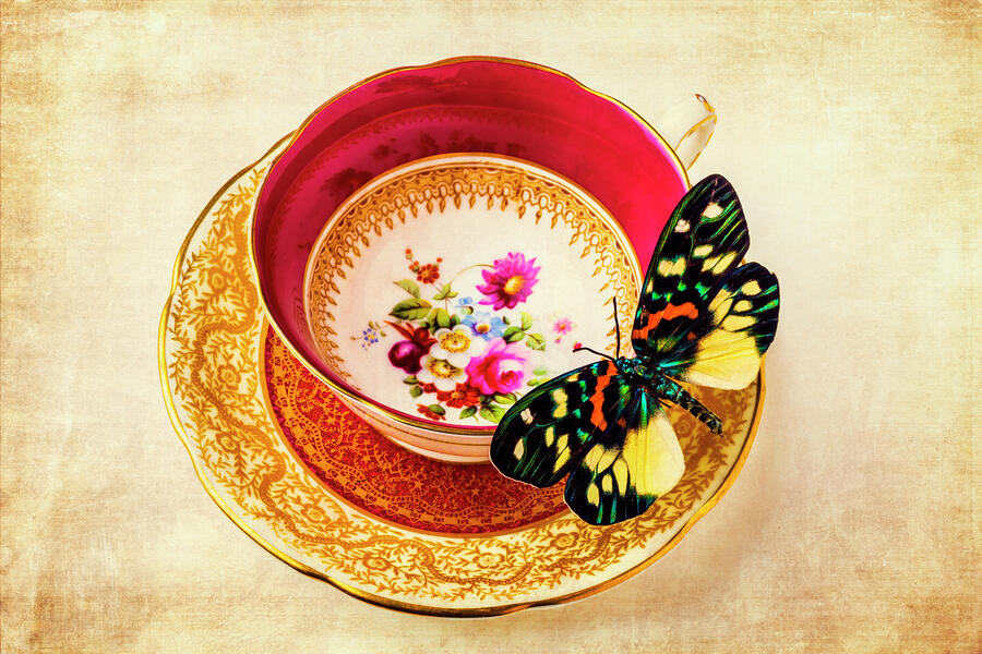 Butterfly Resting On Tea Cup Photograph by Garry Gay