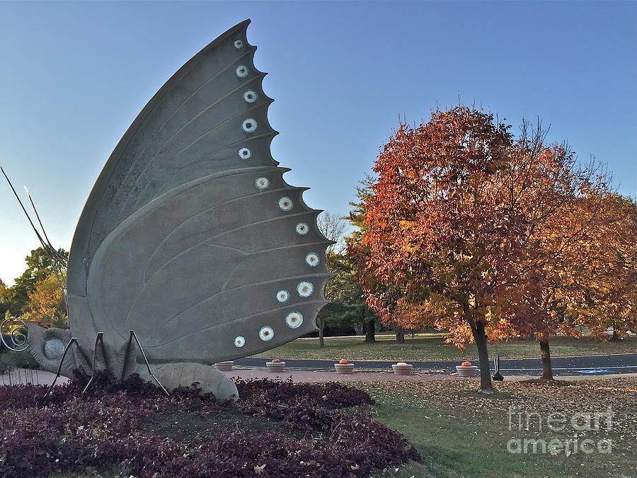 Butterfly Sculpture Photograph by Barbara Plattenburg