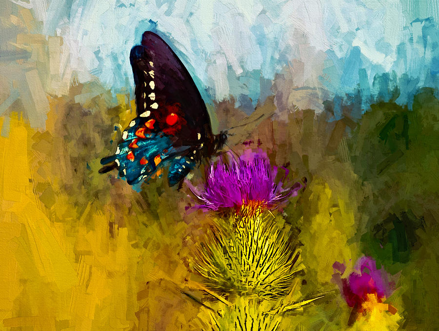 Butterfly Series Seven Photograph By John K Woodruff Fine Art America