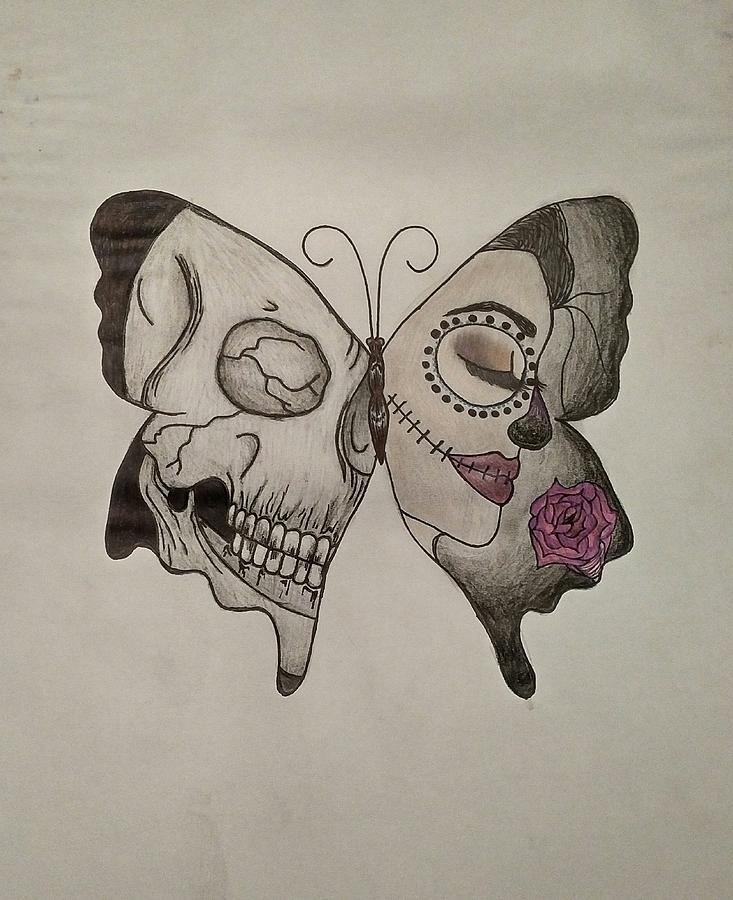 Butterfly Skull Drawing