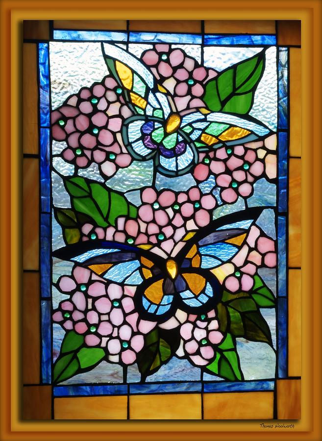 Butterfly Stained Glass Window Photograph by Thomas Woolworth