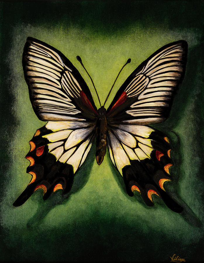 Butterfly Painting - Butterfly study #1 Swallowtail by Vivian Casey Fine Art