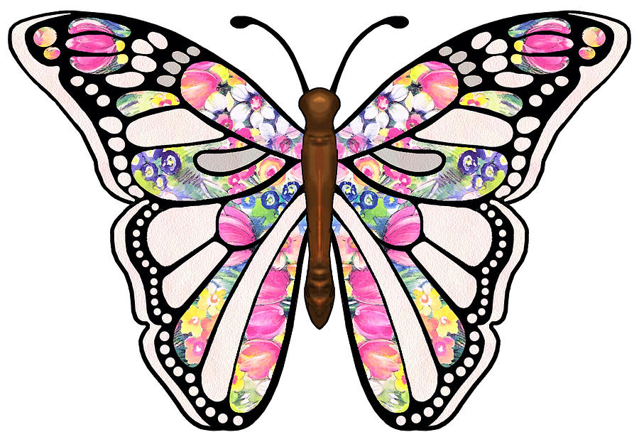 Butterfly Digital Art - Butterfly by Super Lovely