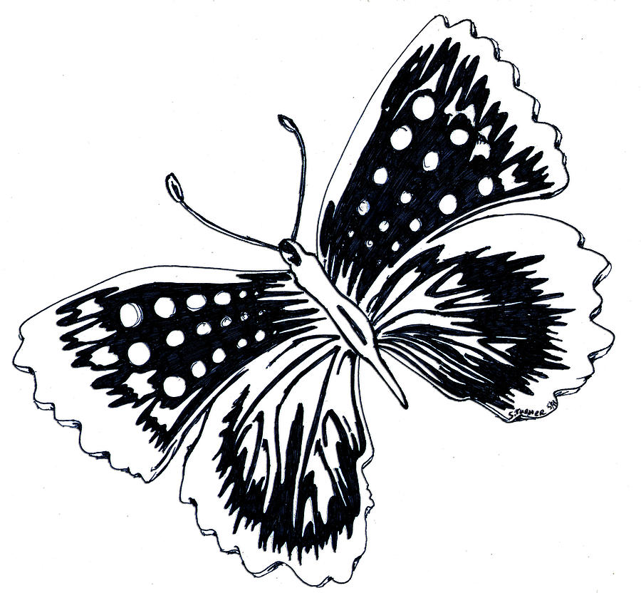Butterfly Drawing by Susan Turner Soulis