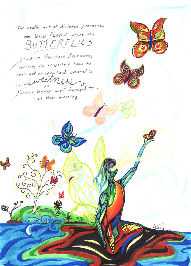 Butterfly Drawing - Butterfly Sweetness by Karen Renee