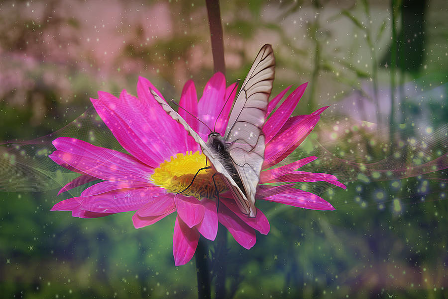 Butterfly Digital Art - Butterfly by Tatiana Tyumeneva
