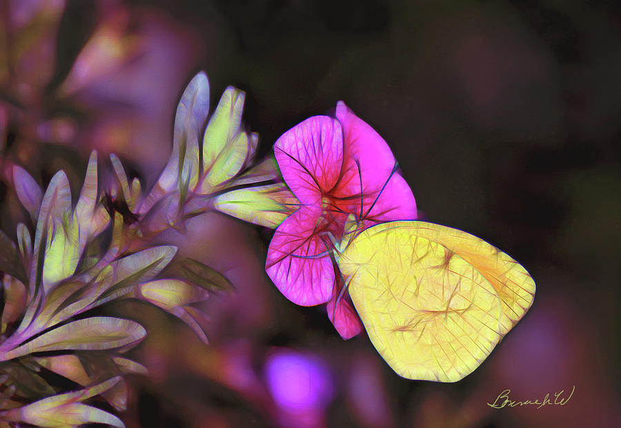 Butterfly treats Digital Art by Bonnie Willis