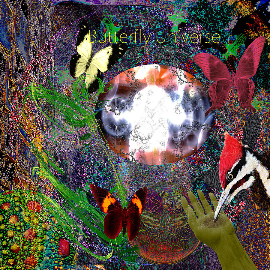Butterfly Universe Digital Art