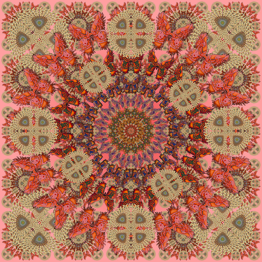 Butterfly Wheel Coral Digital Art by Deborah Runham