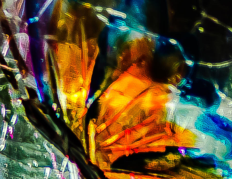Butterfly Wings Photograph by Robert McKay Jones Butterfly Wings Photograph by Robert McKay Jones