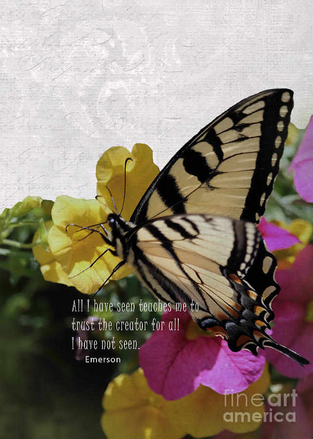 Butterfly with Emerson Quote for Phone Case Photograph by Karen Hart