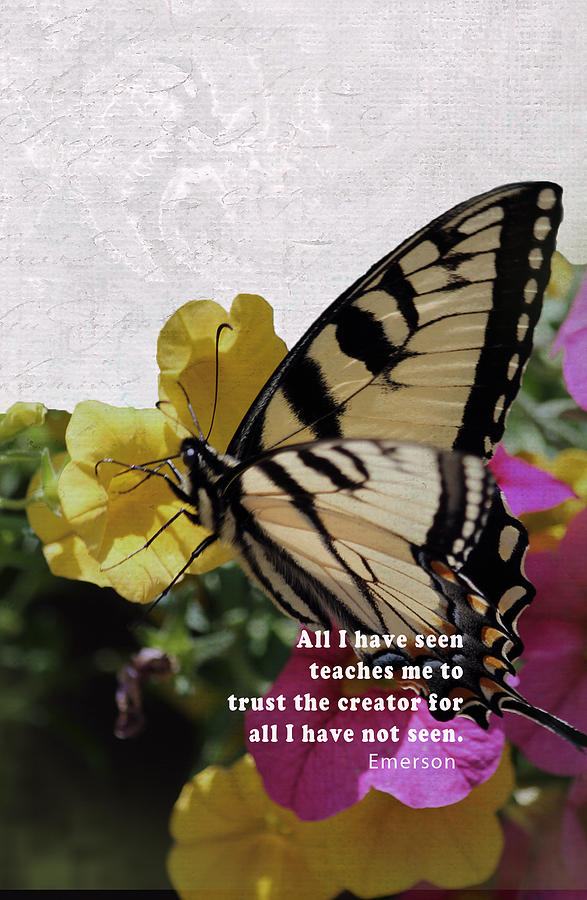 Butterfly with Emerson Quote Photograph by Karen Hart