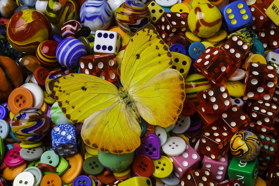 Butterfly With Marbles And Dice Photograph by Garry Gay