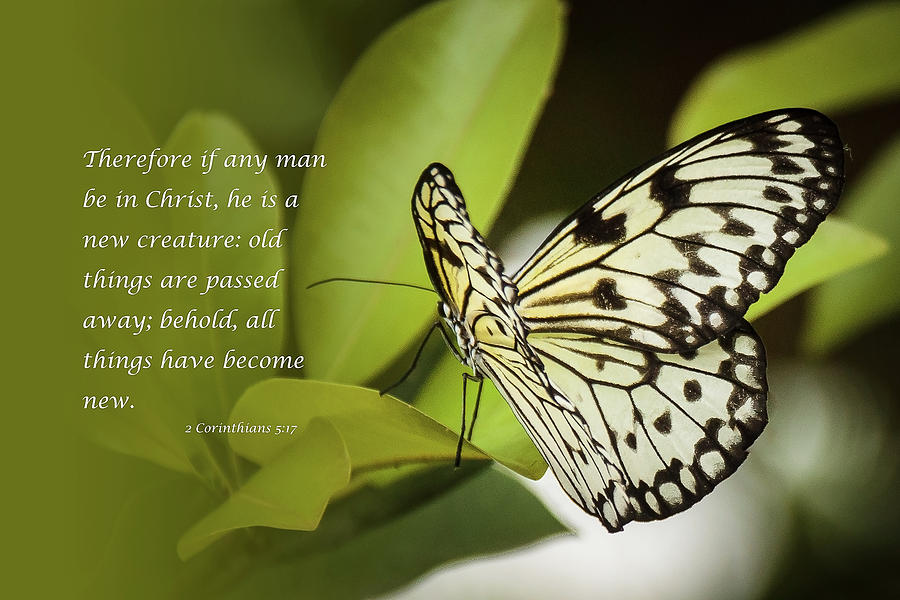 Butterfly with Scripture Photograph by Joni Eskridge