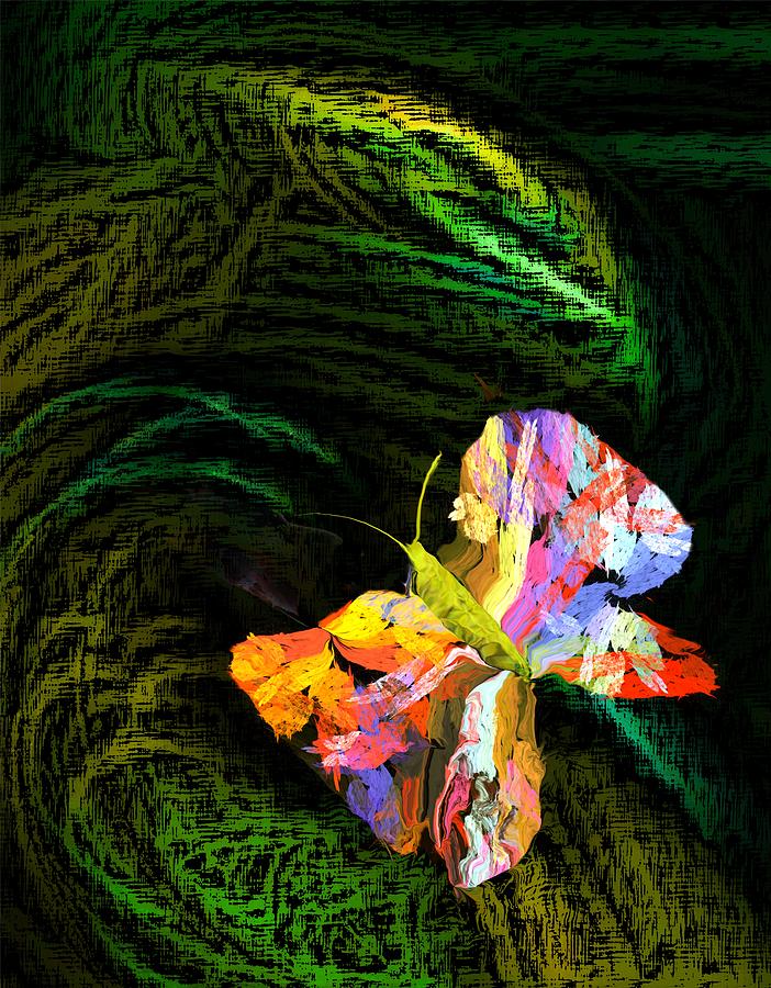Butterfly Within Digital Art by David Lane