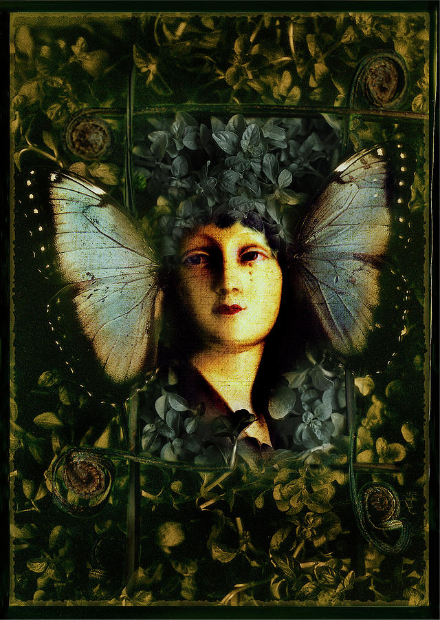 Butterfly Woman Photograph by David Chasey