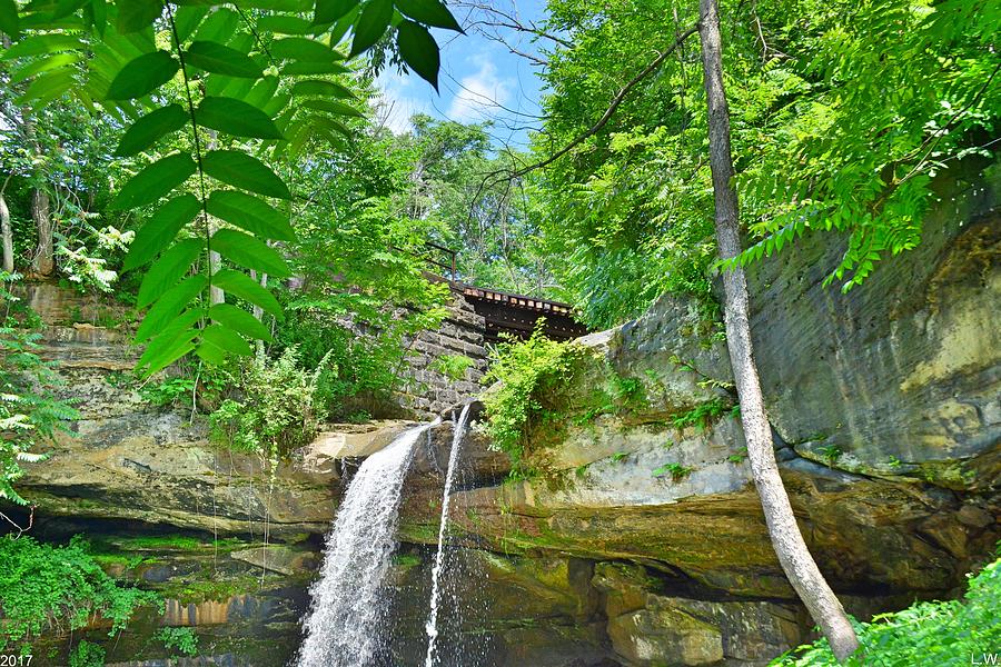 Buttermilk Falls/Homewood Falls Pennsylvania Photograph by Lisa Wooten