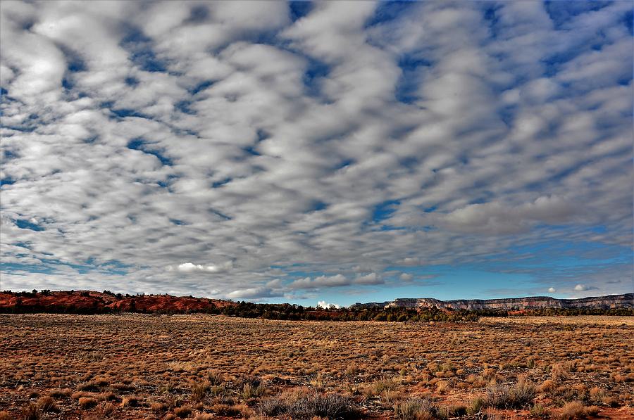 Landscape Photograph - Buttermilk Sky by Heidi Fickinger