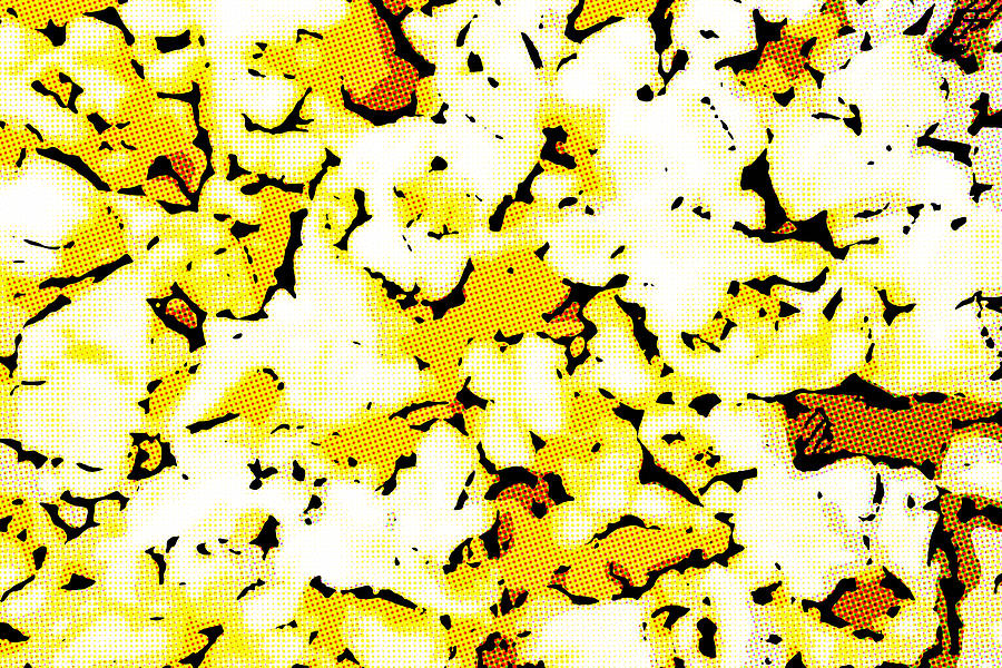 Buttery Popcorn Halftone Abstract Digital Art by SR Green