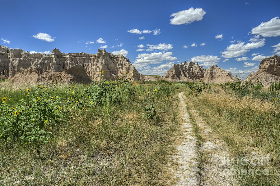 Buttes of the Badlands Photograph by Scott Wood