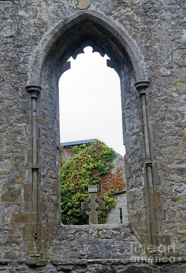 Buttevant Friary Ruins Window Photograph by Natural Focal Point Photography