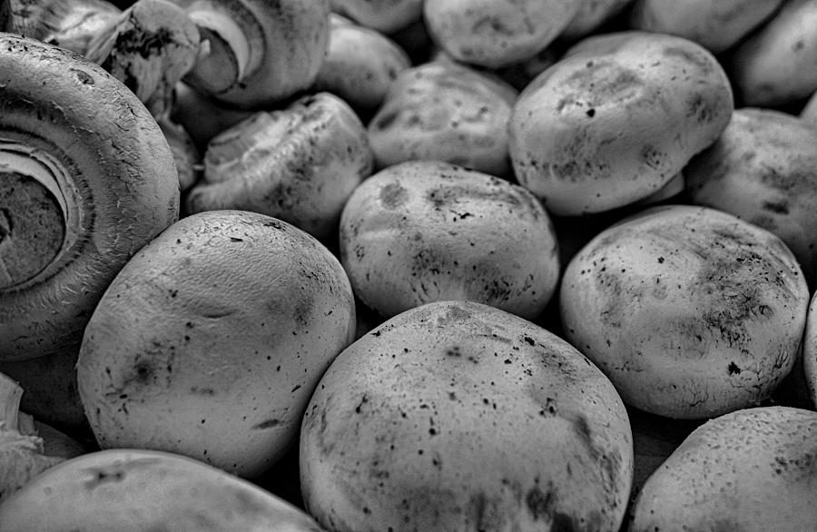 Mushroom Photograph - Button Mushrooms 3 by Robert Meyers-Lussier