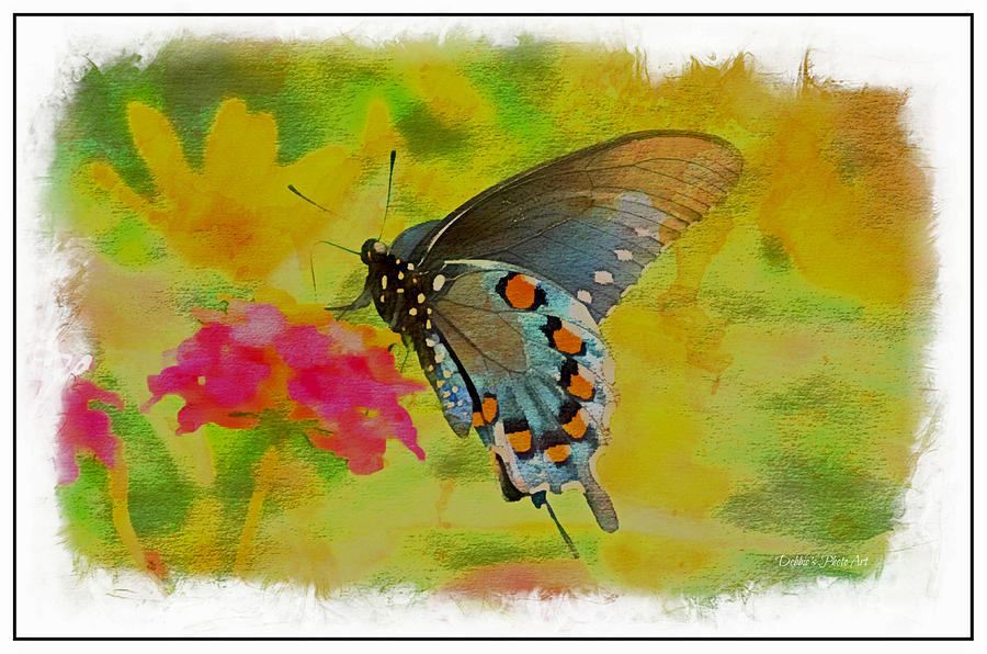 Buttterfly on Lantana - Digital Paint Photograph by Debbie Portwood