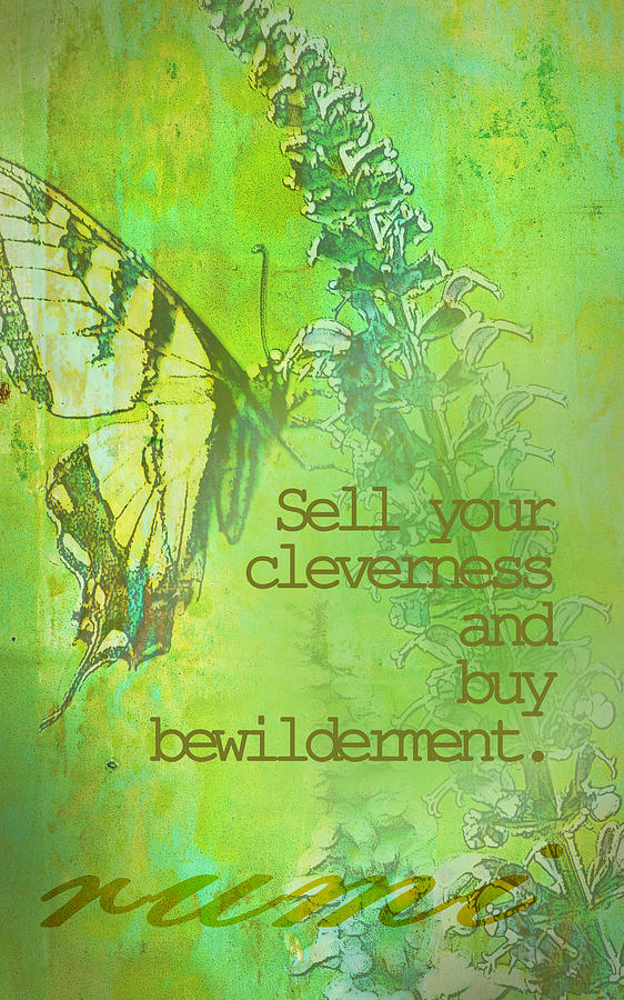 Buy Bewilderment Photograph by Karen Hart