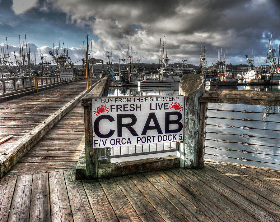 Buy From The Fisherman Photograph by Thom Zehrfeld